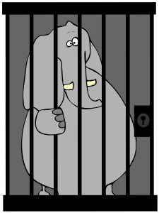 elephant jail.300